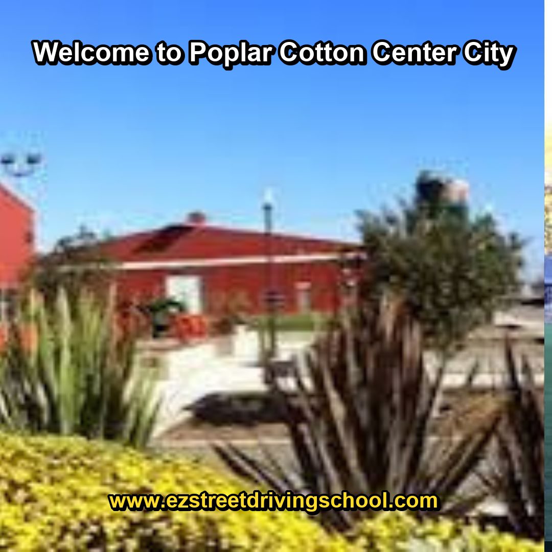 Driving Lessons in Poplar-Cotton Center
